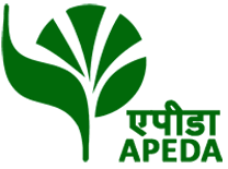 APEDA Logo